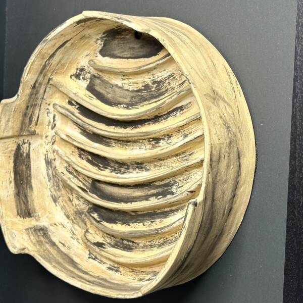 Circle of life - Image 4
